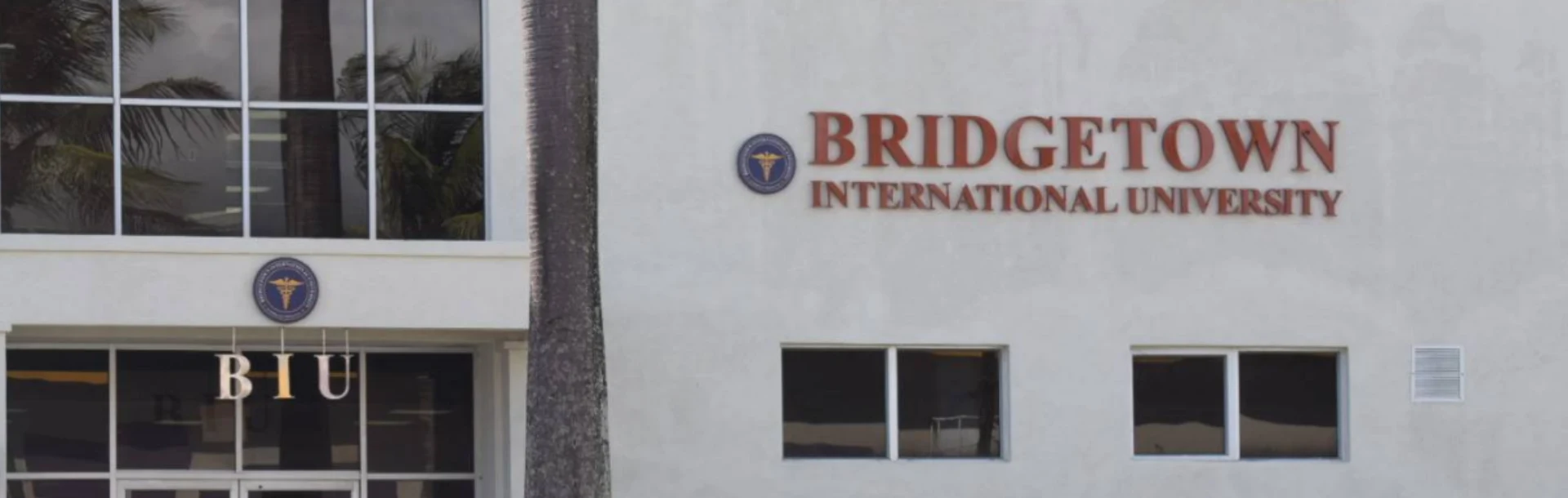 Bridgetown International University