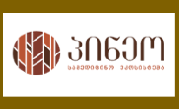 Pineo Medical Ecosystem Ltd.