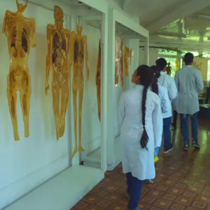 Lab & Research